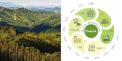 刨花板漸成國(guó)內(nèi)人造板主流趨勢(shì),領(lǐng)軍品牌德科康賦能行業(yè)新發(fā)展